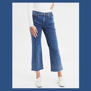AE Wide Leg Crop Retro Indigo Stripe Denim 16